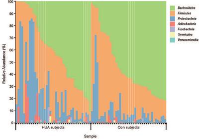 Altered Gut Microbiota in Children With Hyperuricemia